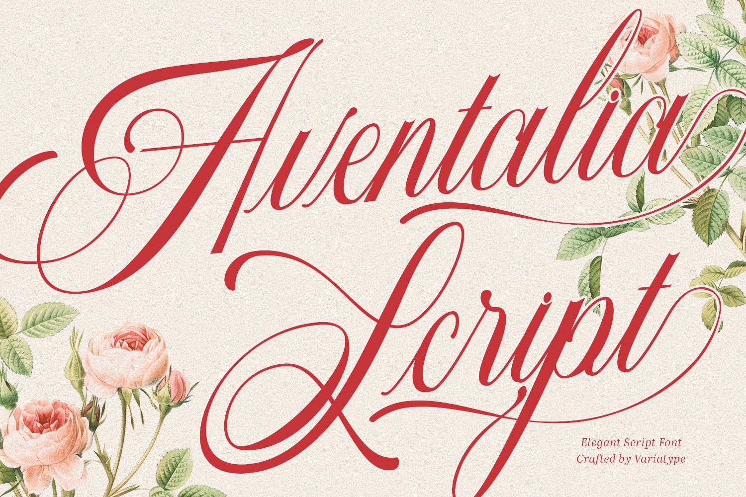 Aventalia Script Font